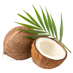 Coconut - 1 Piece