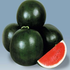 Watermelon - 1 Piece (1.5 to 3kg)