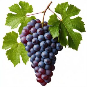 Grapes (Black Seed) - 1kg
