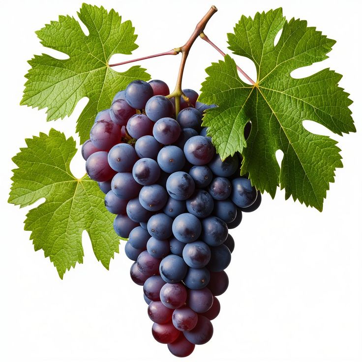 Grapes (Black Seed) - 500g